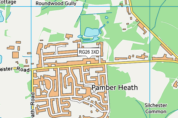 RG26 3XD map - OS VectorMap District (Ordnance Survey)