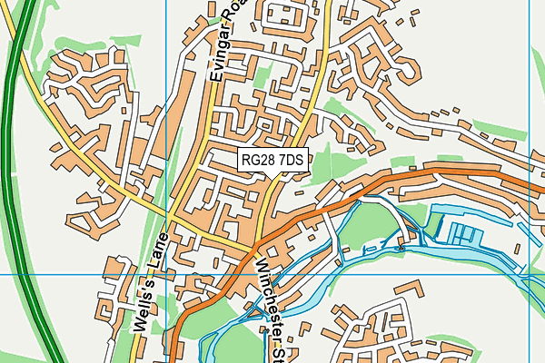 RG28 7DS map - OS VectorMap District (Ordnance Survey)