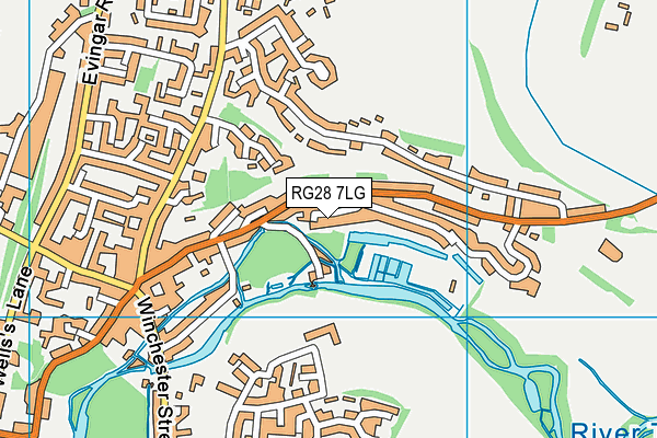 RG28 7LG map - OS VectorMap District (Ordnance Survey)