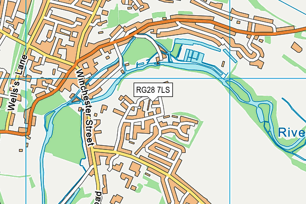 RG28 7LS map - OS VectorMap District (Ordnance Survey)