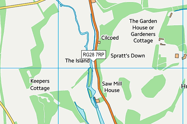 RG28 7RP map - OS VectorMap District (Ordnance Survey)