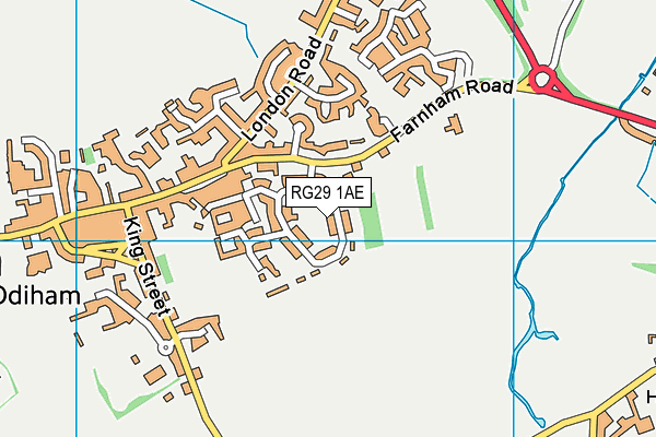 RG29 1AE map - OS VectorMap District (Ordnance Survey)