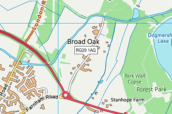 RG29 1AQ map - OS VectorMap District (Ordnance Survey)