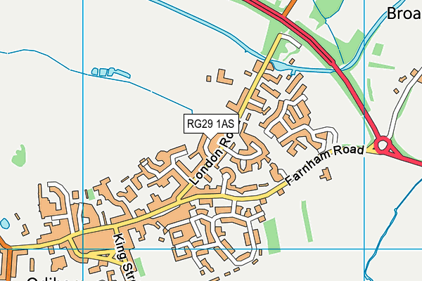 RG29 1AS map - OS VectorMap District (Ordnance Survey)