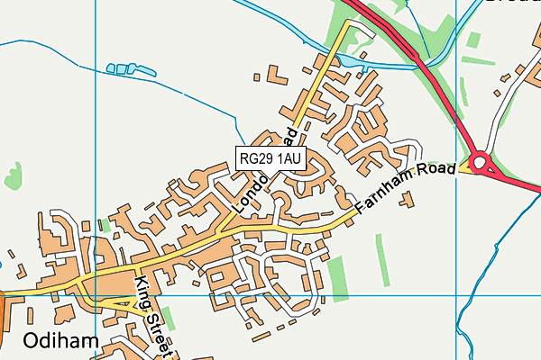 RG29 1AU map - OS VectorMap District (Ordnance Survey)