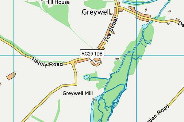 RG29 1DB map - OS VectorMap District (Ordnance Survey)