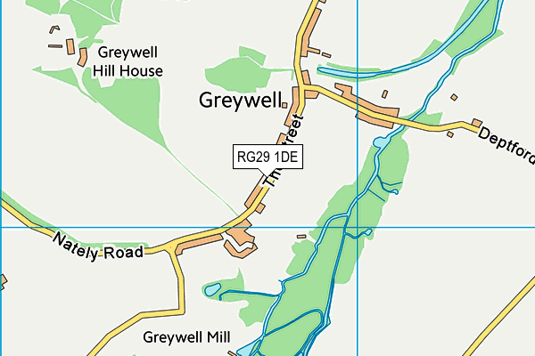 RG29 1DE map - OS VectorMap District (Ordnance Survey)