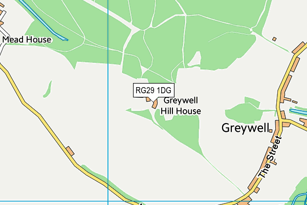 RG29 1DG map - OS VectorMap District (Ordnance Survey)