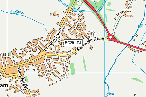 RG29 1DJ map - OS VectorMap District (Ordnance Survey)