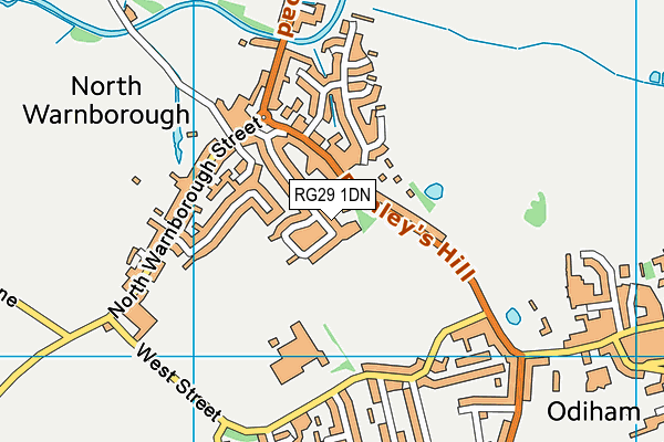 RG29 1DN map - OS VectorMap District (Ordnance Survey)
