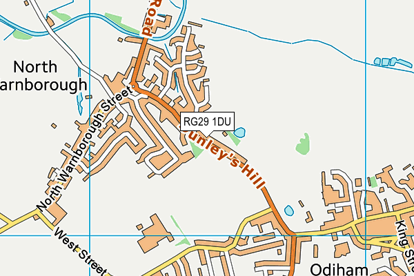 RG29 1DU map - OS VectorMap District (Ordnance Survey)