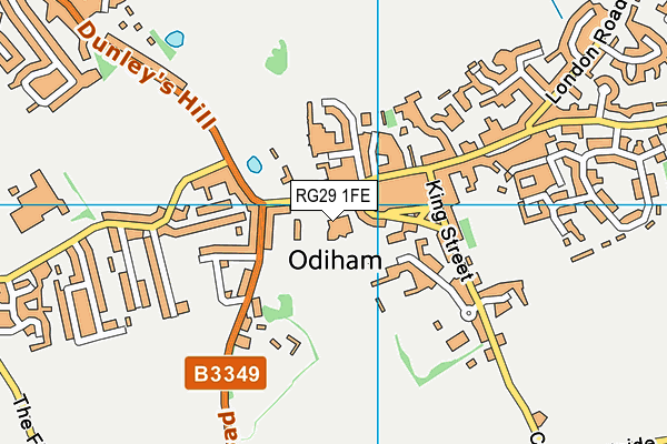 RG29 1FE map - OS VectorMap District (Ordnance Survey)