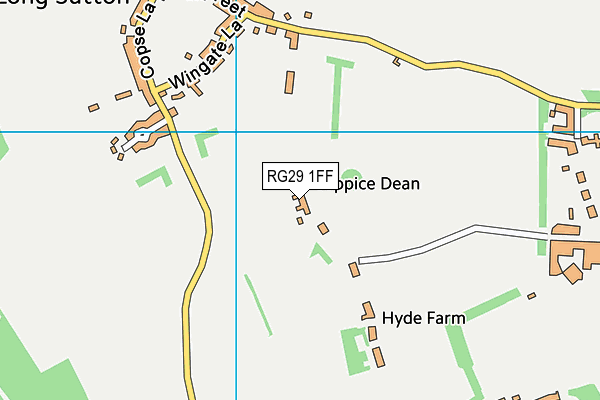 RG29 1FF map - OS VectorMap District (Ordnance Survey)