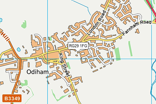 RG29 1FG map - OS VectorMap District (Ordnance Survey)