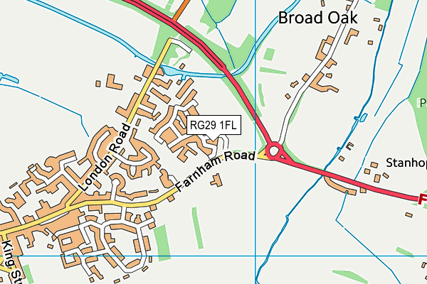 RG29 1FL map - OS VectorMap District (Ordnance Survey)