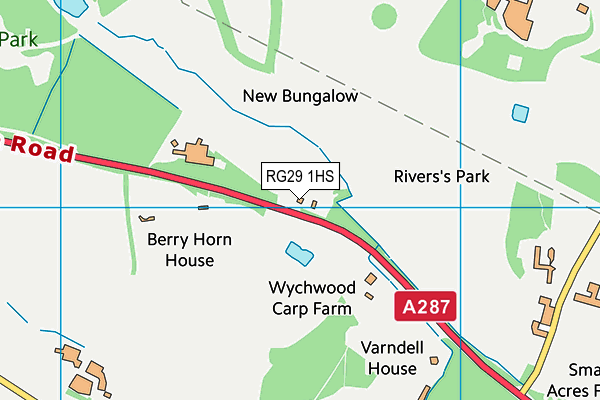 RG29 1HS map - OS VectorMap District (Ordnance Survey)