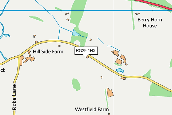 RG29 1HX map - OS VectorMap District (Ordnance Survey)