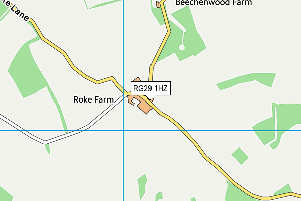 RG29 1HZ map - OS VectorMap District (Ordnance Survey)