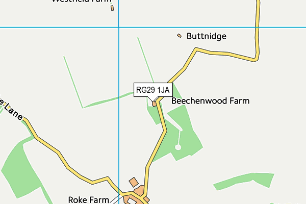 RG29 1JA map - OS VectorMap District (Ordnance Survey)