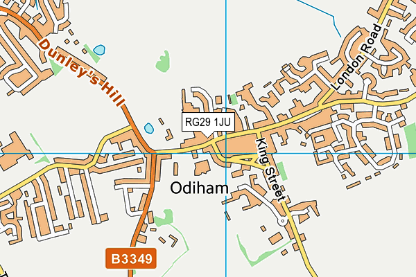 RG29 1JU map - OS VectorMap District (Ordnance Survey)