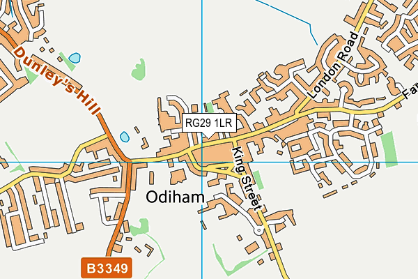 RG29 1LR map - OS VectorMap District (Ordnance Survey)