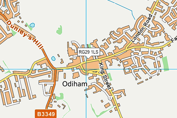 RG29 1LS map - OS VectorMap District (Ordnance Survey)