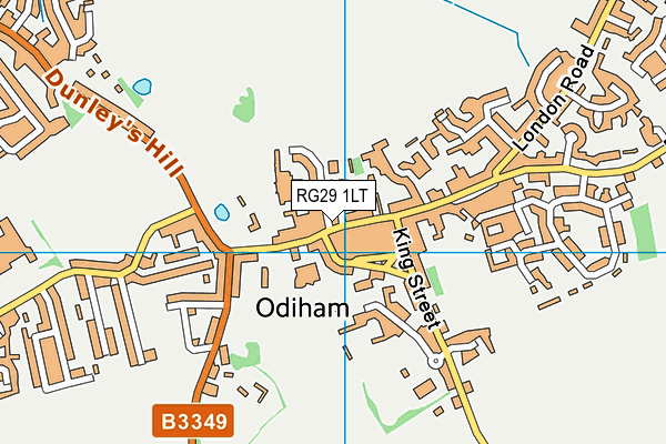 RG29 1LT map - OS VectorMap District (Ordnance Survey)