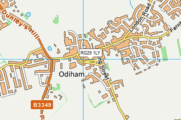 RG29 1LY map - OS VectorMap District (Ordnance Survey)