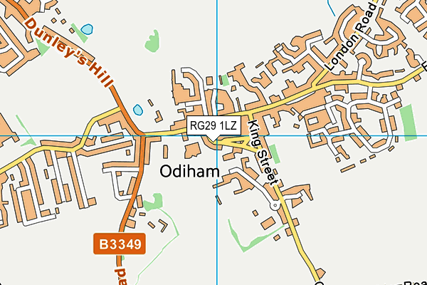 RG29 1LZ map - OS VectorMap District (Ordnance Survey)