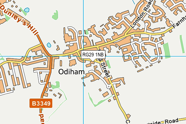 RG29 1NB map - OS VectorMap District (Ordnance Survey)