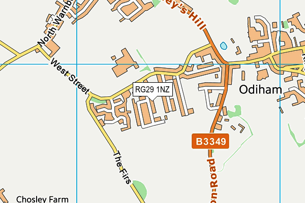 RG29 1NZ map - OS VectorMap District (Ordnance Survey)
