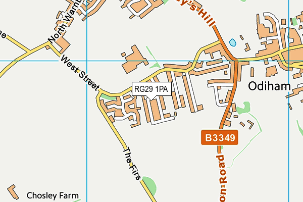 RG29 1PA map - OS VectorMap District (Ordnance Survey)