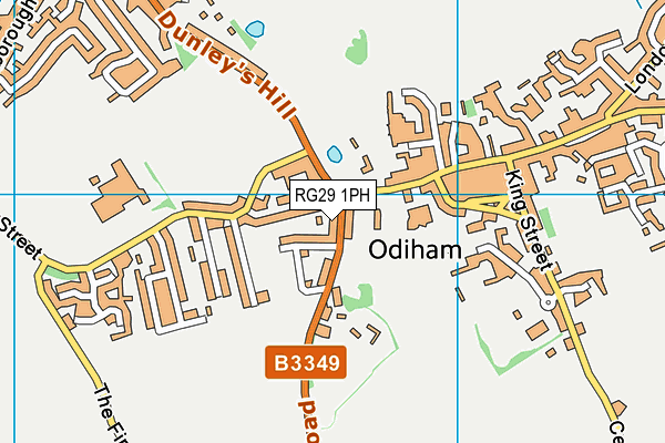 RG29 1PH map - OS VectorMap District (Ordnance Survey)