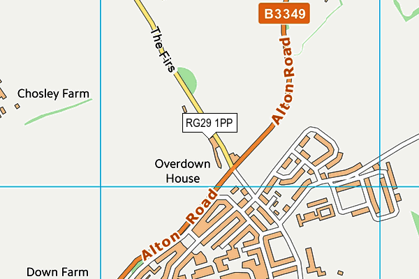 RG29 1PP map - OS VectorMap District (Ordnance Survey)