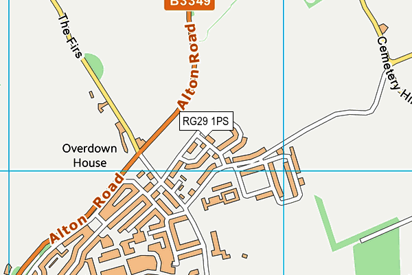 RG29 1PS map - OS VectorMap District (Ordnance Survey)