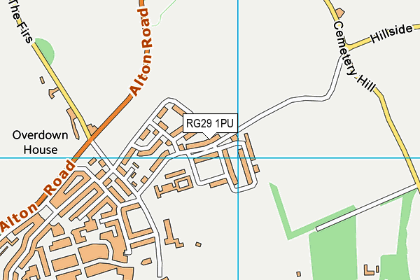 RG29 1PU map - OS VectorMap District (Ordnance Survey)