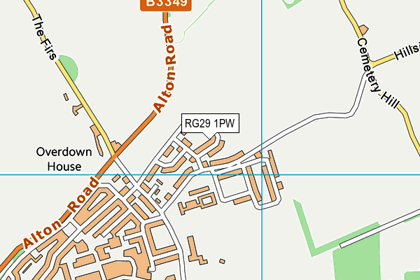 RG29 1PW map - OS VectorMap District (Ordnance Survey)