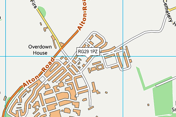 RG29 1PZ map - OS VectorMap District (Ordnance Survey)