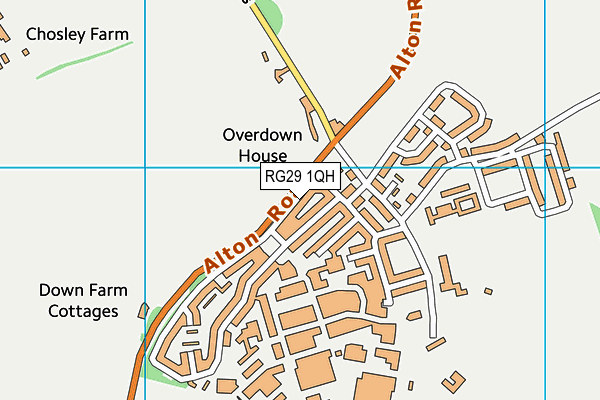 RG29 1QH map - OS VectorMap District (Ordnance Survey)