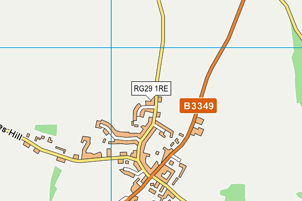 RG29 1RE map - OS VectorMap District (Ordnance Survey)