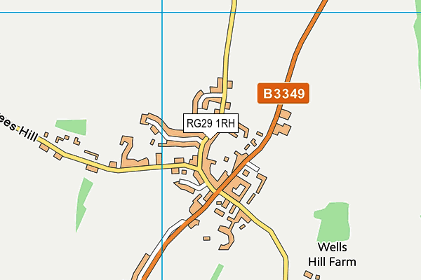 RG29 1RH map - OS VectorMap District (Ordnance Survey)