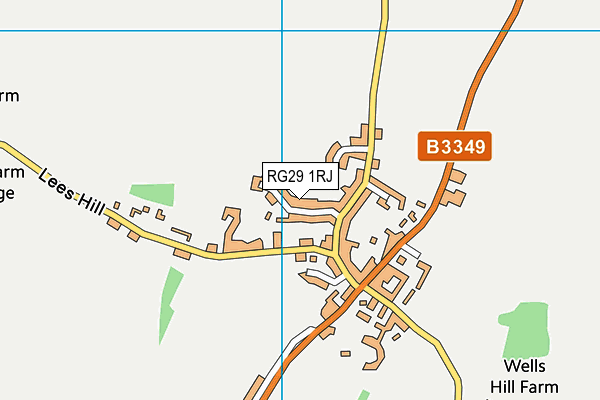 RG29 1RJ map - OS VectorMap District (Ordnance Survey)