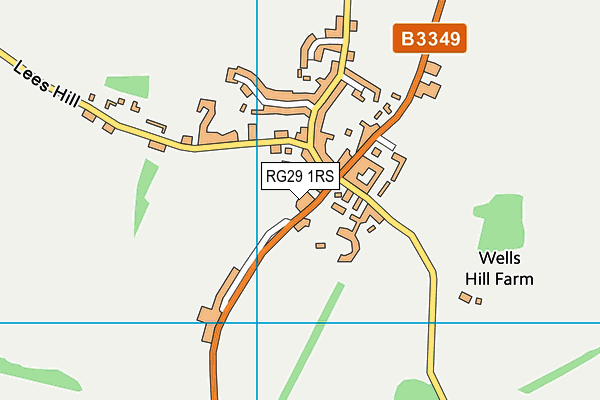 RG29 1RS map - OS VectorMap District (Ordnance Survey)