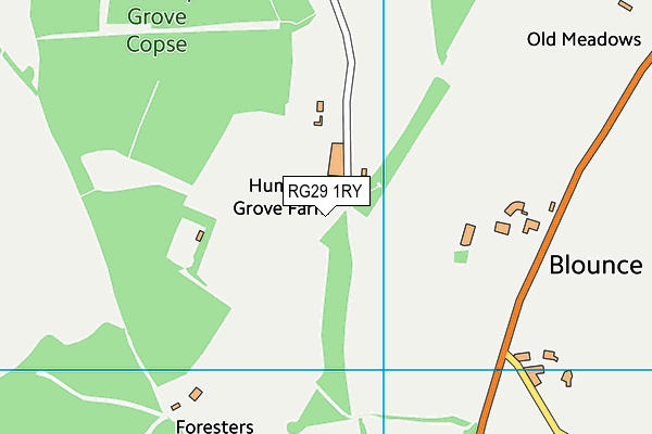 RG29 1RY map - OS VectorMap District (Ordnance Survey)