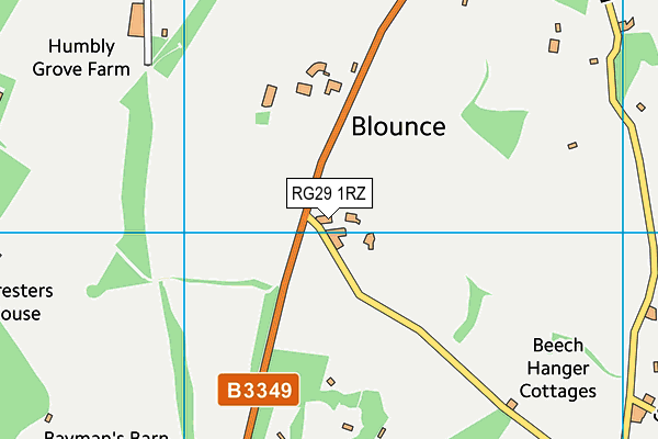 RG29 1RZ map - OS VectorMap District (Ordnance Survey)