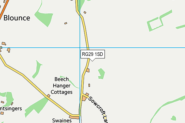 RG29 1SD map - OS VectorMap District (Ordnance Survey)