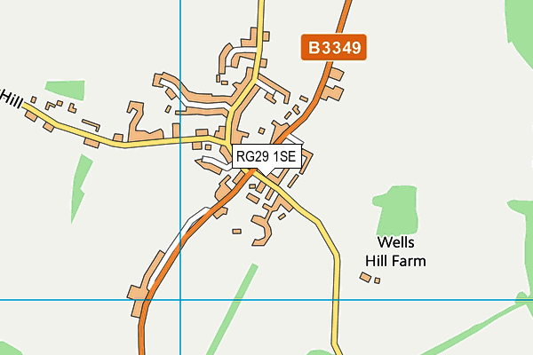 RG29 1SE map - OS VectorMap District (Ordnance Survey)