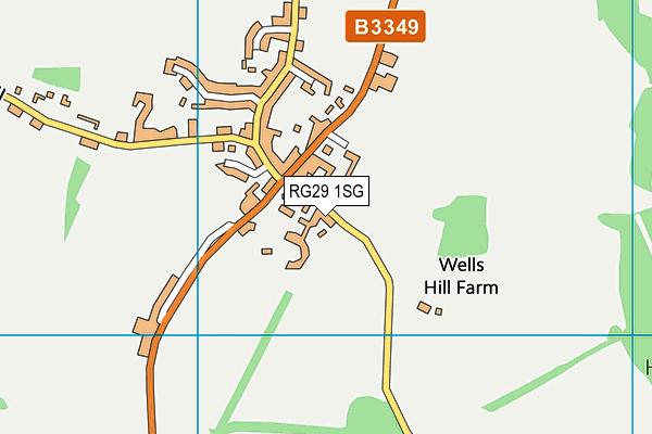 RG29 1SG map - OS VectorMap District (Ordnance Survey)