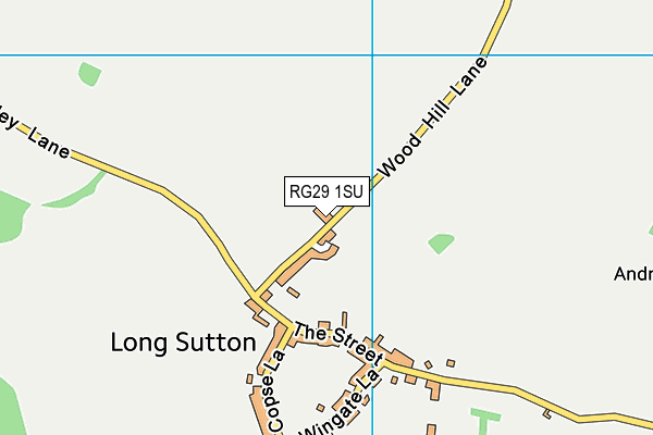 RG29 1SU map - OS VectorMap District (Ordnance Survey)