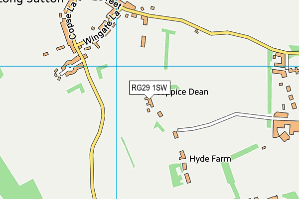 RG29 1SW map - OS VectorMap District (Ordnance Survey)